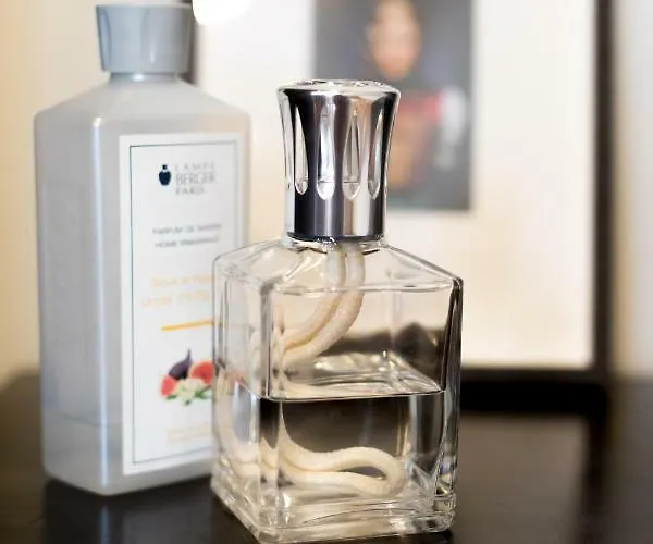 Bibis Chalet Ξενοδοχείο Todtmoos